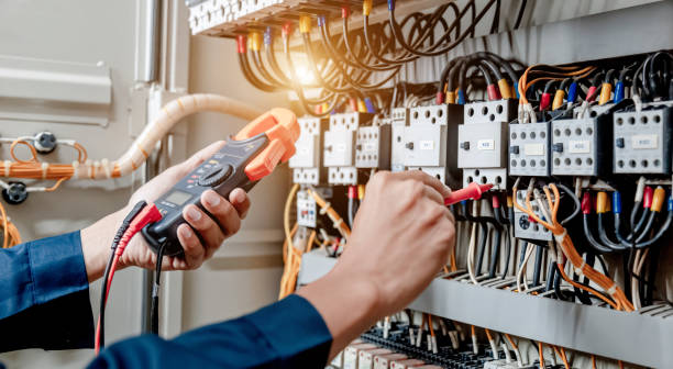 Best Licensed Electrician  in Palm River Clair Mel, FL